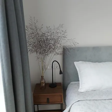 Будинок відпочинку Atostogu Apartamentai Monciskese Namas Prie Juros